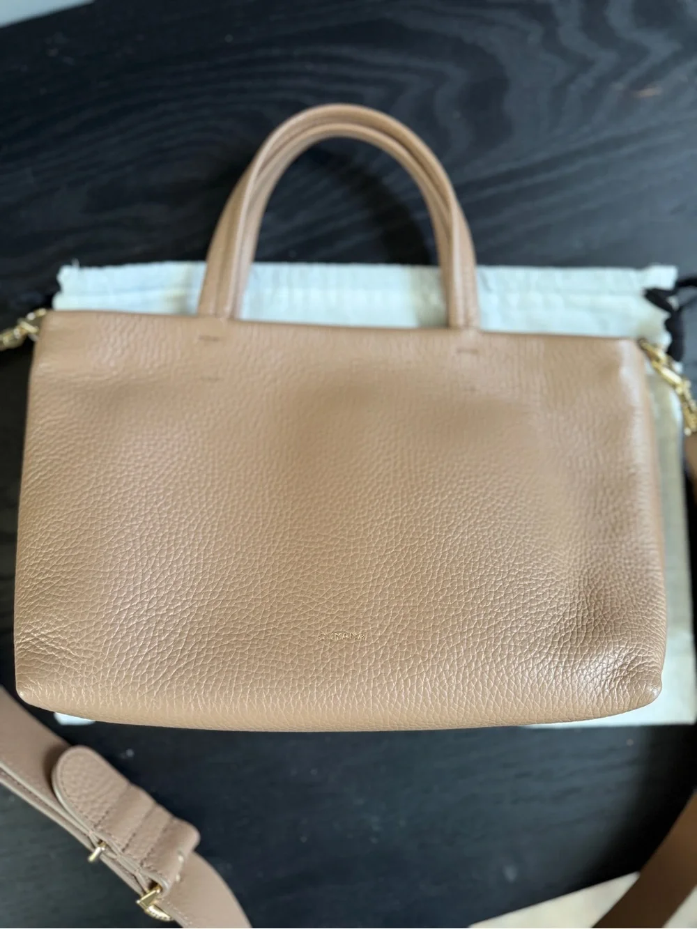 Cuyana Cappucino Mini Easy Zipper Tote